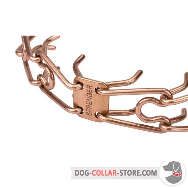 Dog pinch collar's links