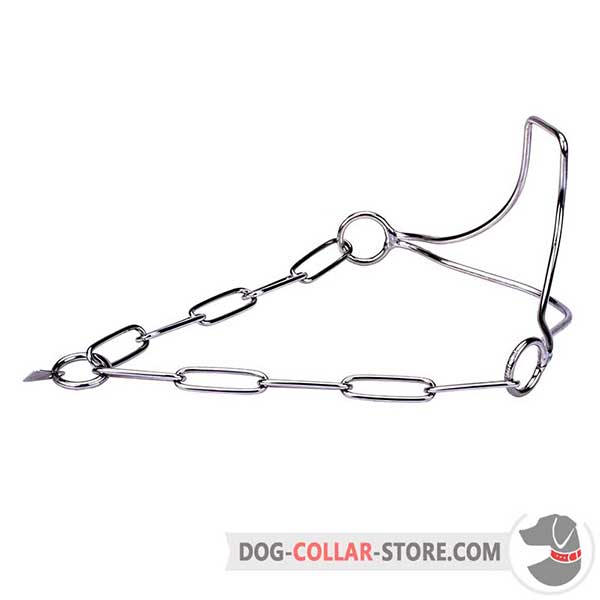 Dog show collar, unique shape