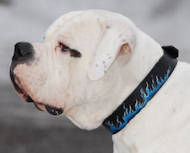 Hand painted by our artists leather dog collar - blue-FLAMES