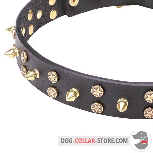 Dog leather collar: stars and spikes