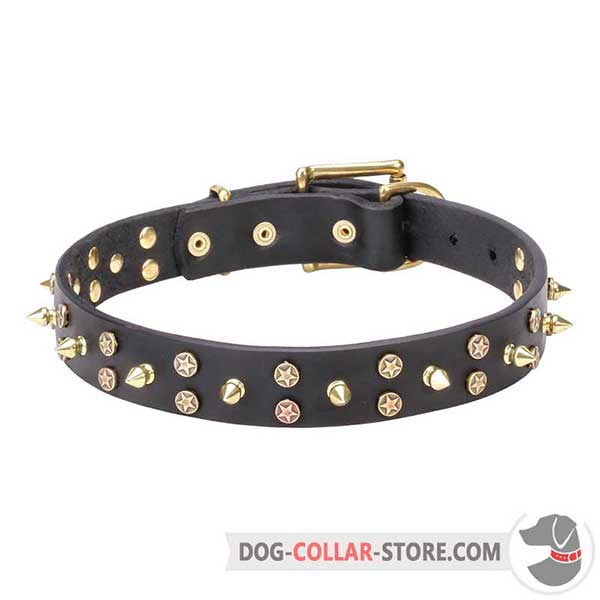 Dog Collar, stars and spikes fixed with rivets