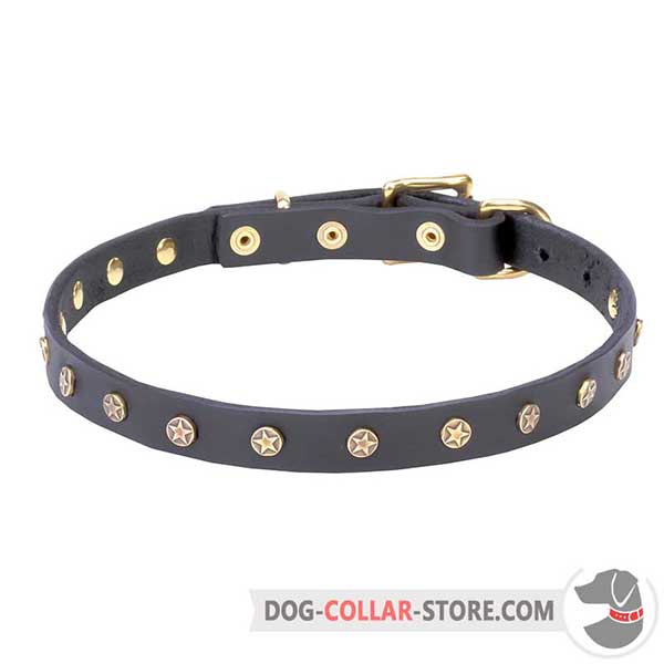 Dog leather collar with riveted stars