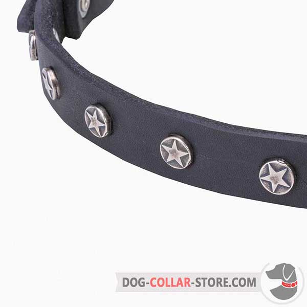 Riveted decorations on dog leather collar