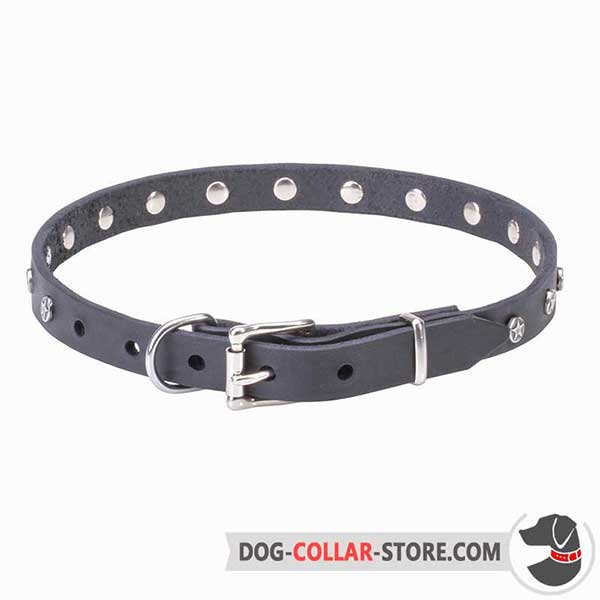 Dog collar for walking and basic training