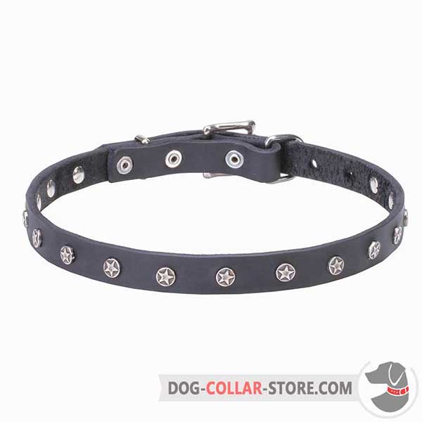 Dog Collar: riveted brass-plated hardware