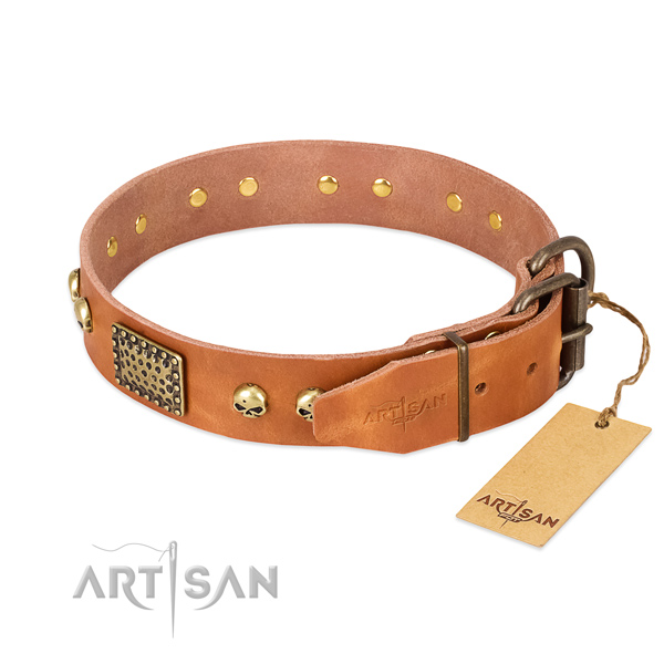 Corrosion resistant adornments on everyday walking dog collar