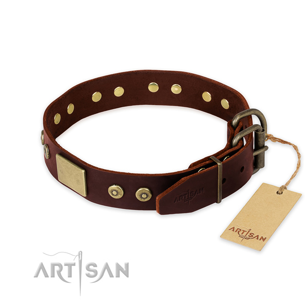 Rust resistant fittings on daily walking dog collar
