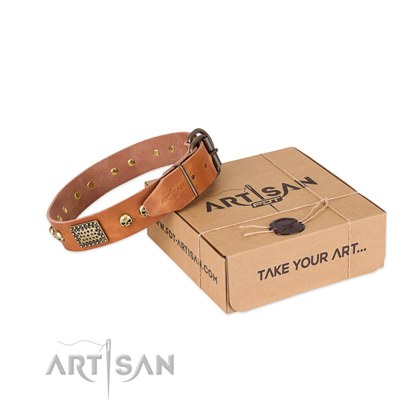 Rust resistant buckle on dog collar for everyday walking