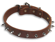 French bulldog spiked leather collar-small collar 1 1/4' (3 cm)