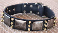 Gorgeous War Dog Leather Dog Collar - brass3 spike -massive plat