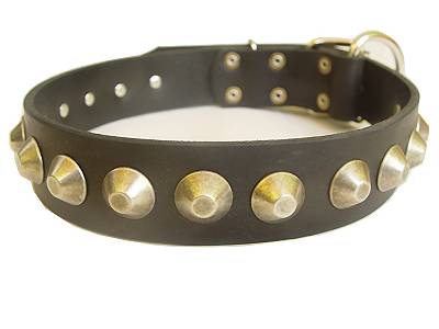 Gorgeous Wide Leather Dog Collar With Brass Pyramids for dog training or for dog owners