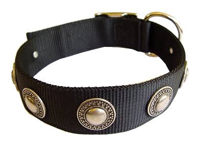 Nylon Dog  collar with silver conchos for dog training or for dog owners
