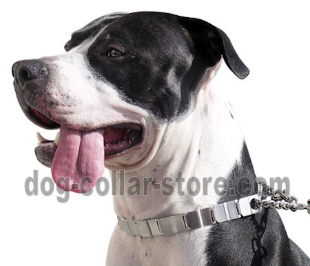 Stainless Steel Prong Collar Neck Tech 24