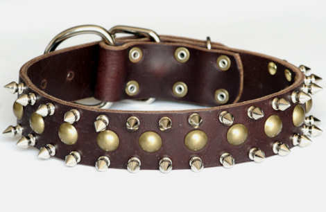 leather spiked and studded dog collar