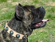 Tan Leather Dog Collar with Silver Plated Circles Blue Stones