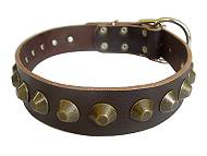 Gorgeous Wide Leather Dog Collar - Brown Gorgeous Wide Leather Dog Collar - Brown