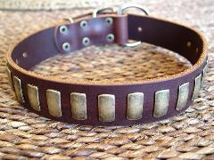 Gorgeous Wide Leather Dog Collar With Plates - Gorgeous Wide Leather Dog Collar With Plates -
