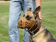 2 ply leather agitation dog collar with handle