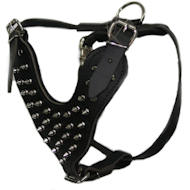 Leather spiked dog harness for all breeds-custom deluxe harness