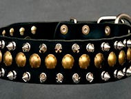 Spiked and Studded Leather Dog Collar