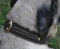 Mastiff Handcrafted Leather Dog Collar - best dog collar Mastiff Handcrafted Leather Dog Collar - best dog collar