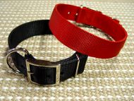 Nylon Dog Collar- 2 Ply Nylon :Nickel Plated : Extra Wide Nylon Dog Collar- 2 Ply Nylon :Nickel Plated : Extra Wide