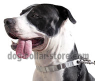 Stainless Steel Neck Tech Pitbull Collar Stainless Steel Neck Tech Pitbull Collar