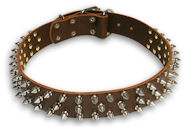 Spiked Leather Brown collar 26'' /26 inch dog collar -S44