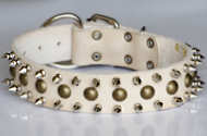 large dog collars for big dogs/ breeds
