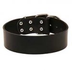 Classic Leather Dog Collar For Everyday Walking and Training