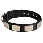 Nylon Dog Collar With Vintage Massive Silver Color Plates