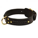 Handcrafted Braided Leather Dog Collar