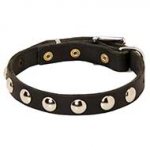 Elegant Leather Dog Collar With Half-Ball Nickel Studs