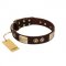 "Sense of Freedom" FDT Artisan Brown Leather dog Collar with Old Bronze-Plated Studs and Plates