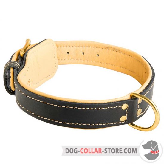 Royal Nappa Padded Hand Made Leather Dog Collar