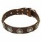 Elegant Leather Dog Collar with Silver Plated Circles