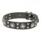 'Rock n Roll' Leather Dog Collar with Awesome Decorations