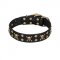 'Jolly Rojer' FDT Artisan Leather Dog Collar with Pirate Skulls and Studs