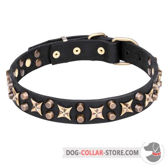 "Hollywood Star" 1 1/4 inch (30 mm) Leather Dog Collar with Brass Fineries