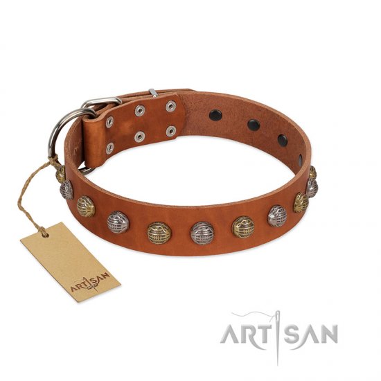 "Dogue-Vogue" FDT Artisan Tan Leather dog Collar with Engraved Chrome-plated Studs