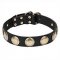'Hip and Edgy' Dog Collar with Brass Stellar Circles