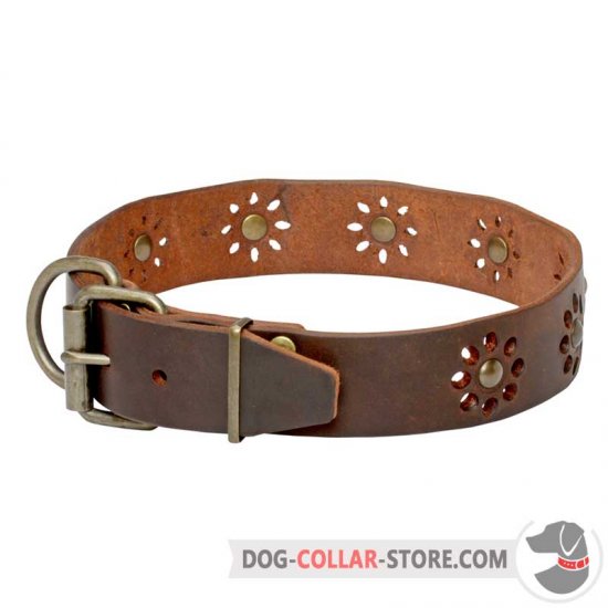 'Spring Mood' Leather Collar for Trendy Dogs