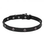 'Sparkling Beauty' Leather Dog Collar with Engraved Studs