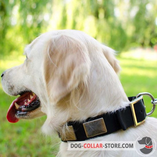 Nylon Golden Retriever Collar With Vintage Massive Nickel Plates - Click Image to Close