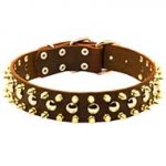 Designer Leather Dog Collar with Studs and Spikes