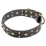 'Egypt Treasure' Leather Dog Collar 1 1/2 inch (40 mm) Wide