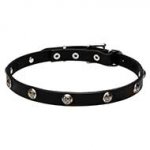 'Lucky' Leather Dog Collar with Engraved Studs