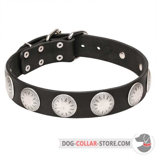 "Maya Indians" Leather Dog Collar with Chrome Plated Starry Circles