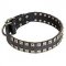 Adjustable Strong Leather Dog Collar with Nickel Studs