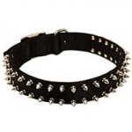 Fashionable Nylon Dog Collar with 2 Rows of Nickle Spikes
